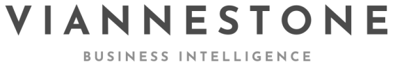 Viannestone — Business Intelligence